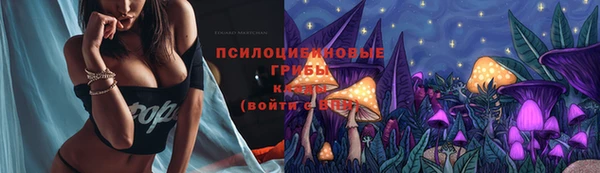 эйфоретик Богородицк