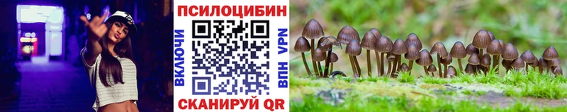 дарк нет Telegram  магазин    Сланцы  Галлюциногенные грибы Psilocybe 