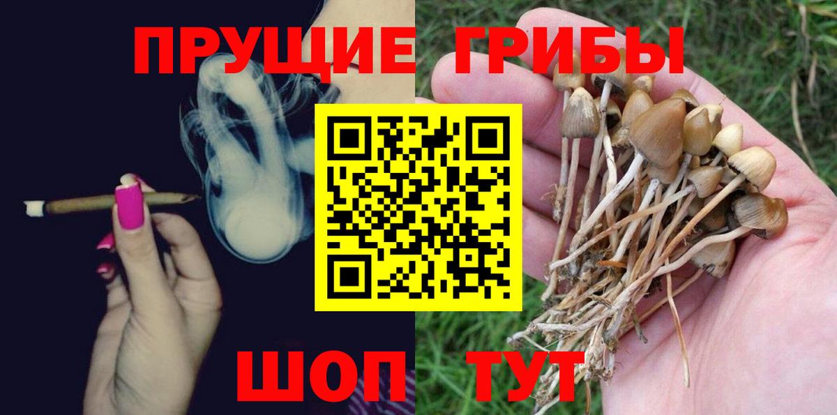 Псилоцибиновые грибы прущие грибы Сланцы