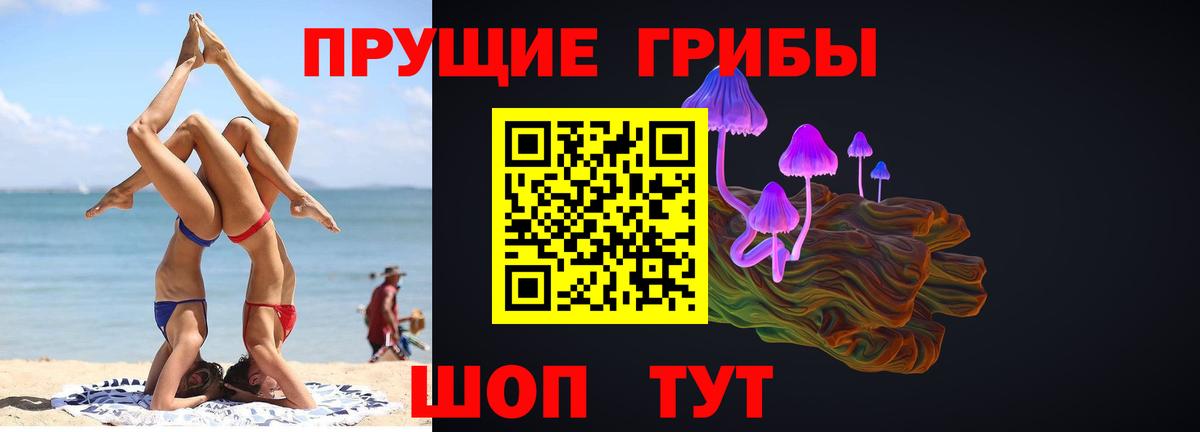 Псилоцибиновые грибы мицелий  Галлюциногенные грибы MAGIC MUSHROOMS  Вход с VPN  Сланцы 