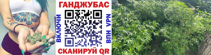 Бошки марихуана тримм  Сланцы 